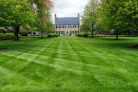 u-blox secures significant project wins in the robotic lawnmower market with its high-precision positioning technology